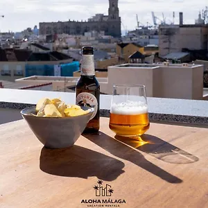  Appartement Luxury Duplex With Pool And Padel Court In Town Spanje